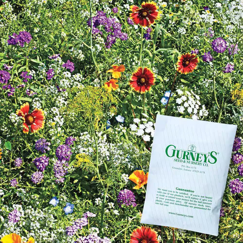 Beneficial Bug Wildflower Seed Mixture (0.25 Lb. Seed Packet)