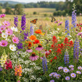 Wildflower Mix BUTTERFLY HUMMINGBIRD Bee & Pollinator Garden Flowers 1000 Seeds!